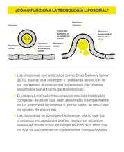 Cargar imagen en el visor de la galería, VITAMINA C LIPOSOMAL - WELLPLUS
